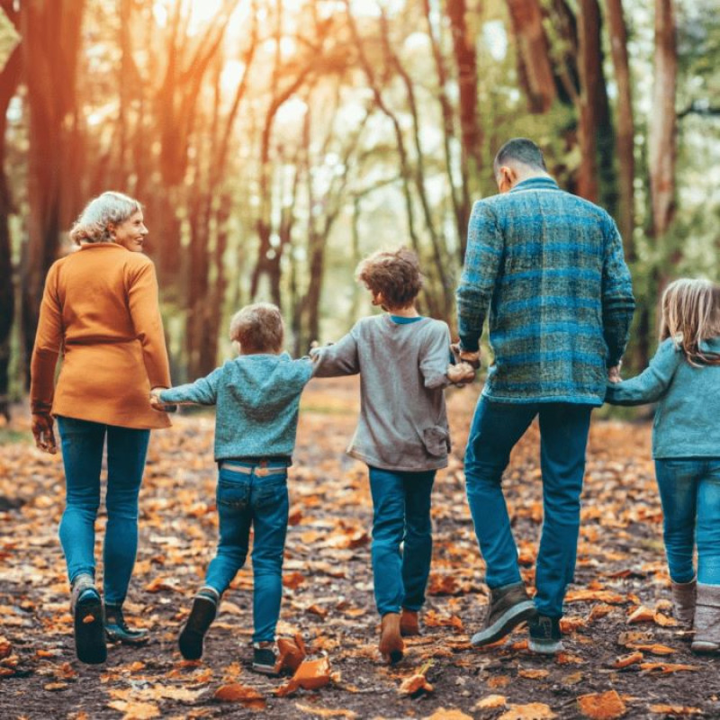 User Building Strong Family Bonds: Strategies for Connection and Resilience